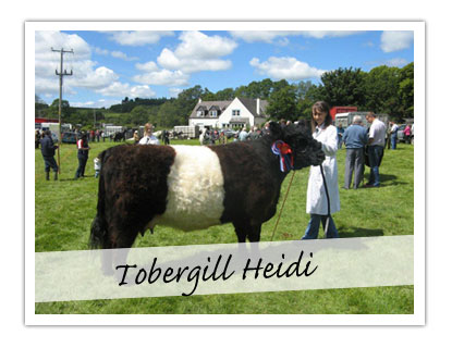 Tobergill Heidi